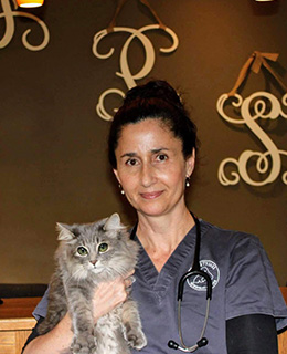 dr kyra haring