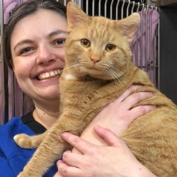 staff holding a cat