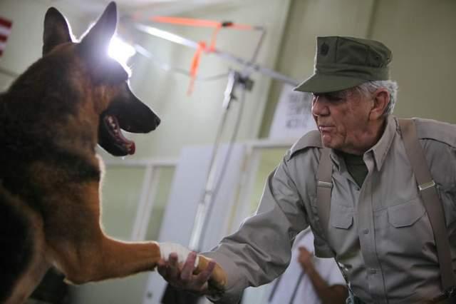 senior holding dog paw